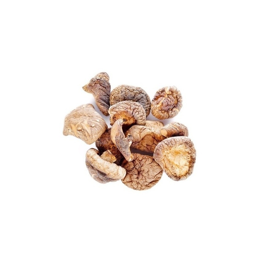 Best Quality Low Price Bulk Stock Available Of Dried mushrooms For Export World Wide From Thailand