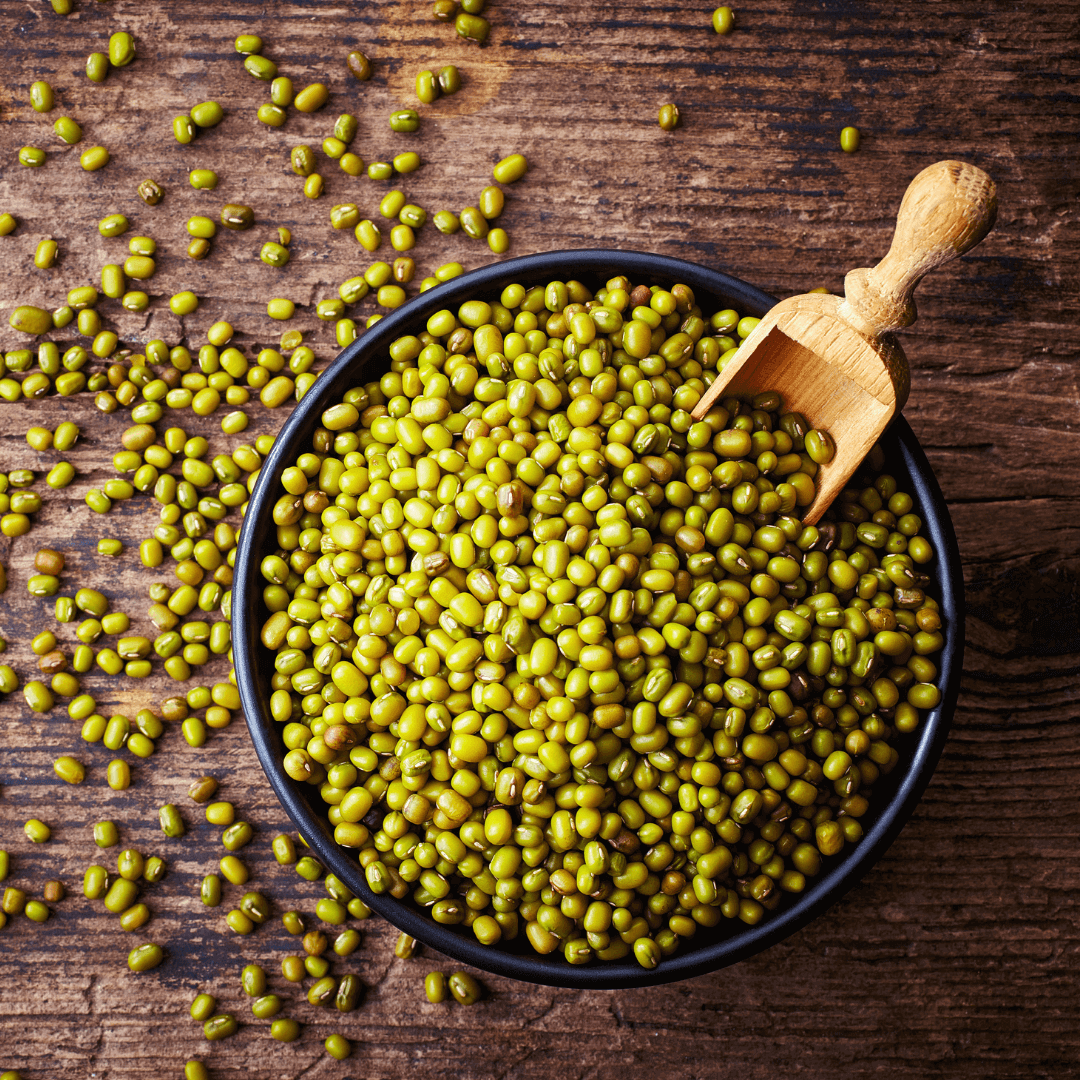 High Quality Green Mung Beans Green Vigna Beans Green Gram Beans