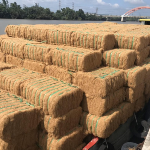 Premium quality 2023 Coconut Fiber for sale