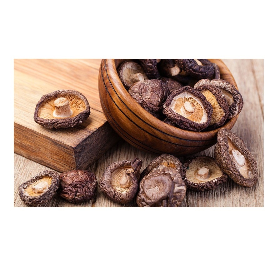 Wholesale Shiitake Mushroom Powder With Top Quality Natural Ingredients From Vietnam