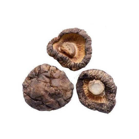 Wholesale Shiitake Mushroom Powder With Top Quality Natural Ingredients From Vietnam