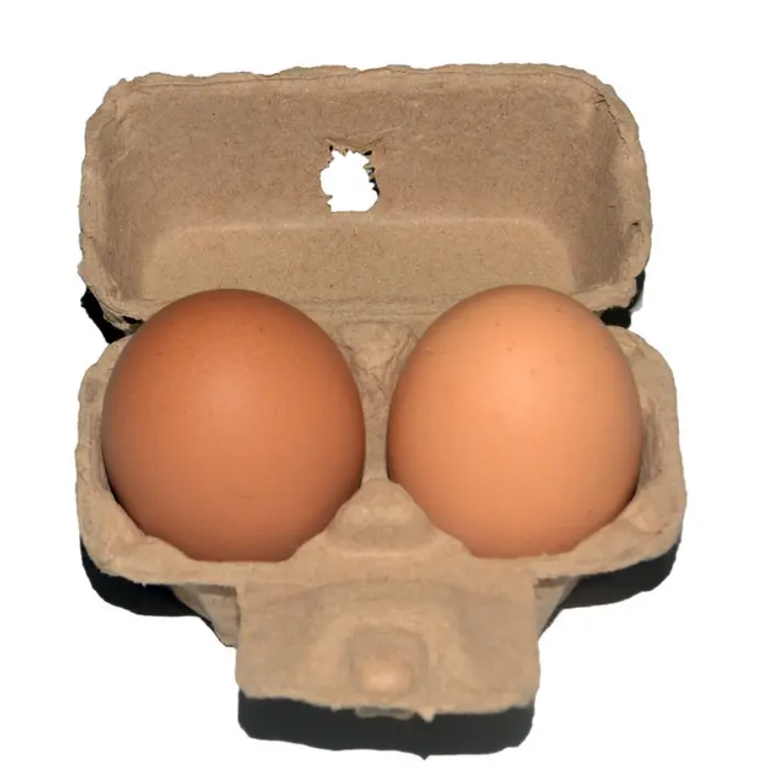 Environment-friendly Egg Tray Carton with Cover Pulp Moulding 12 20 Eggs Carton/tray/box