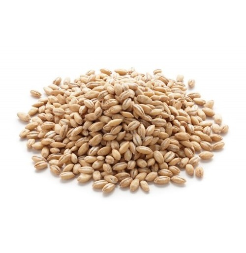 Wholesale Barley Grains Best Price, Feed Barley, Barley for Animal Feed and Human Consumption