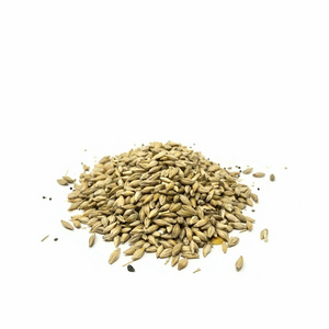 Wholesale Barley Grains Best Price, Feed Barley, Barley for Animal and Human