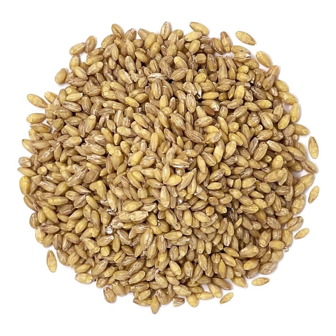 Barley Seeds/Animal Feed Barley/Bulk Barley Grains For Sale