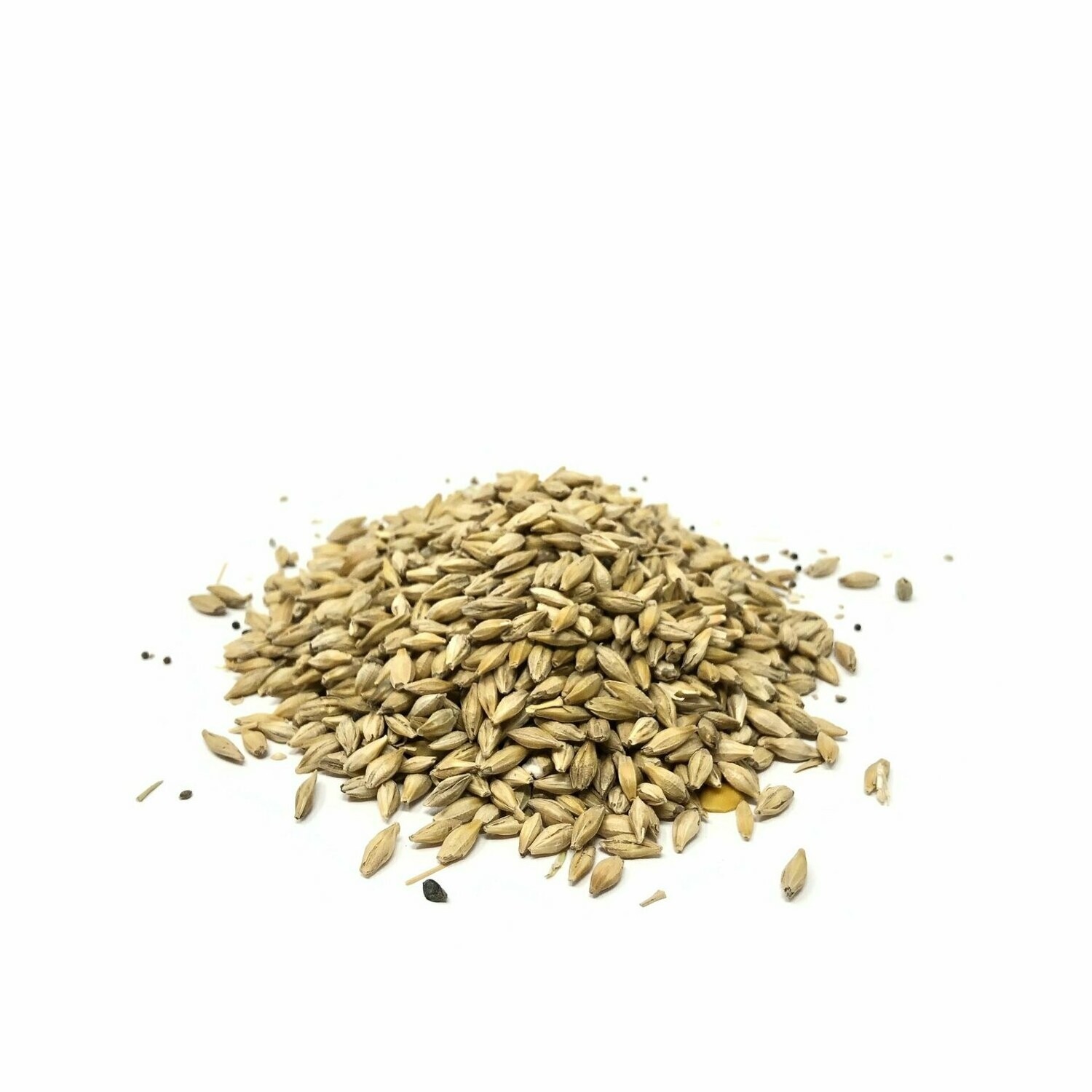 Feed Barley Natural Organic First Grade Animal Feed Barley