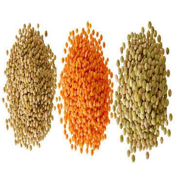 GOOD GREEN LENTILS / RED LENTILS / YELLOW LENTILS