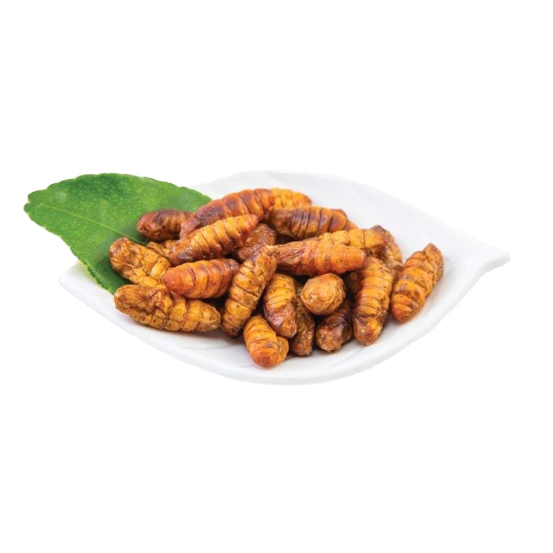 Edible Insect Whole Silkworms Insect Crickets Protein Snacks Fried Best Quality Wholesale Export Product from Thailand