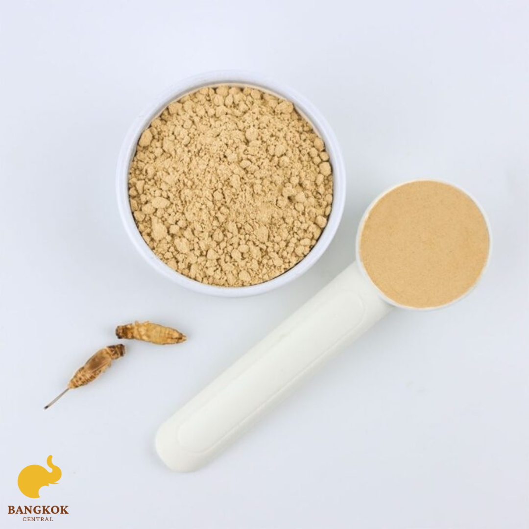 Partially Defatted Acheta Cricket Powder Wholesale Edible Insect Protein Powder Food Mixer Best Quality from Thailand