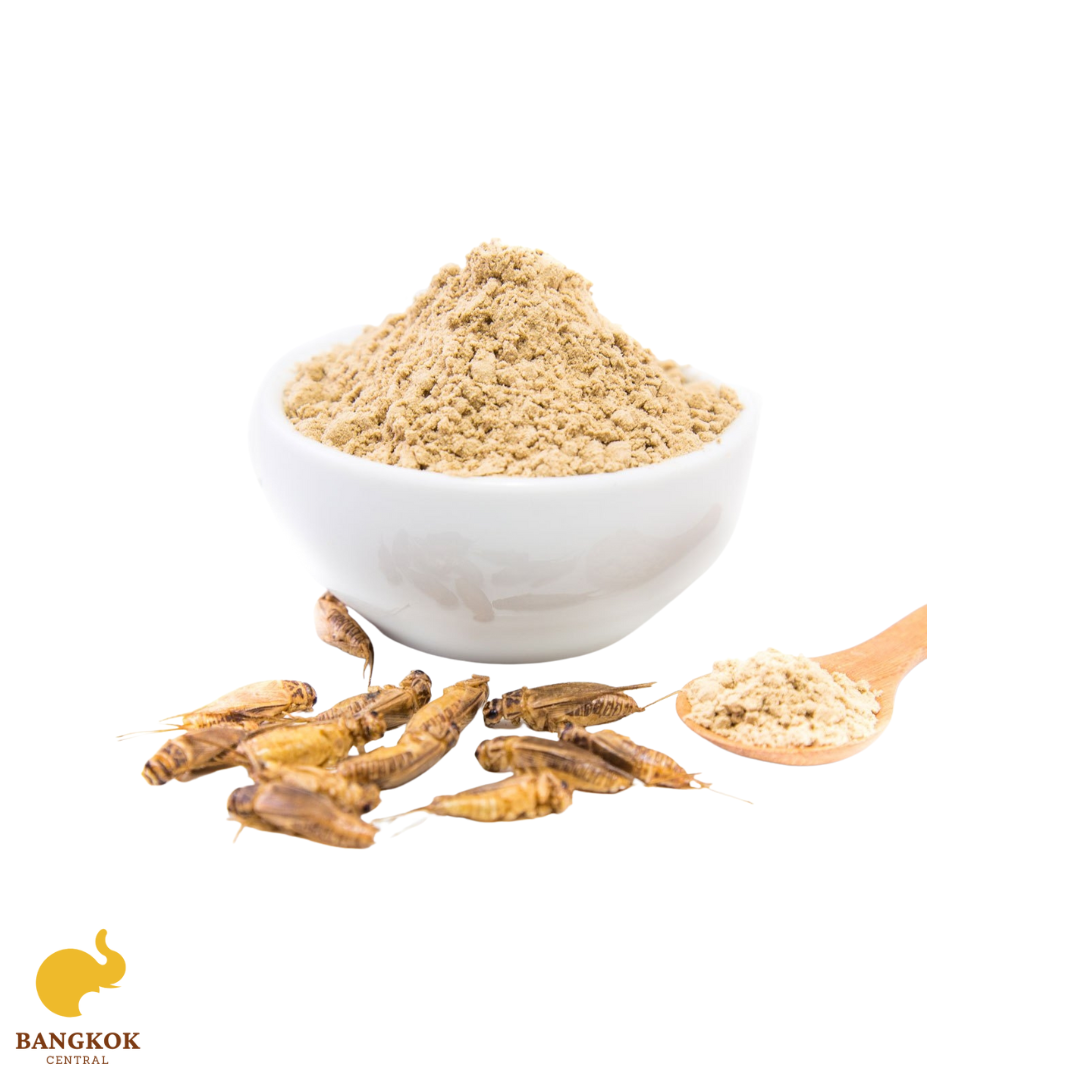 Partially Defatted Acheta Cricket Powder Wholesale Edible Insect Protein Powder Food Mixer Best Quality from Thailand