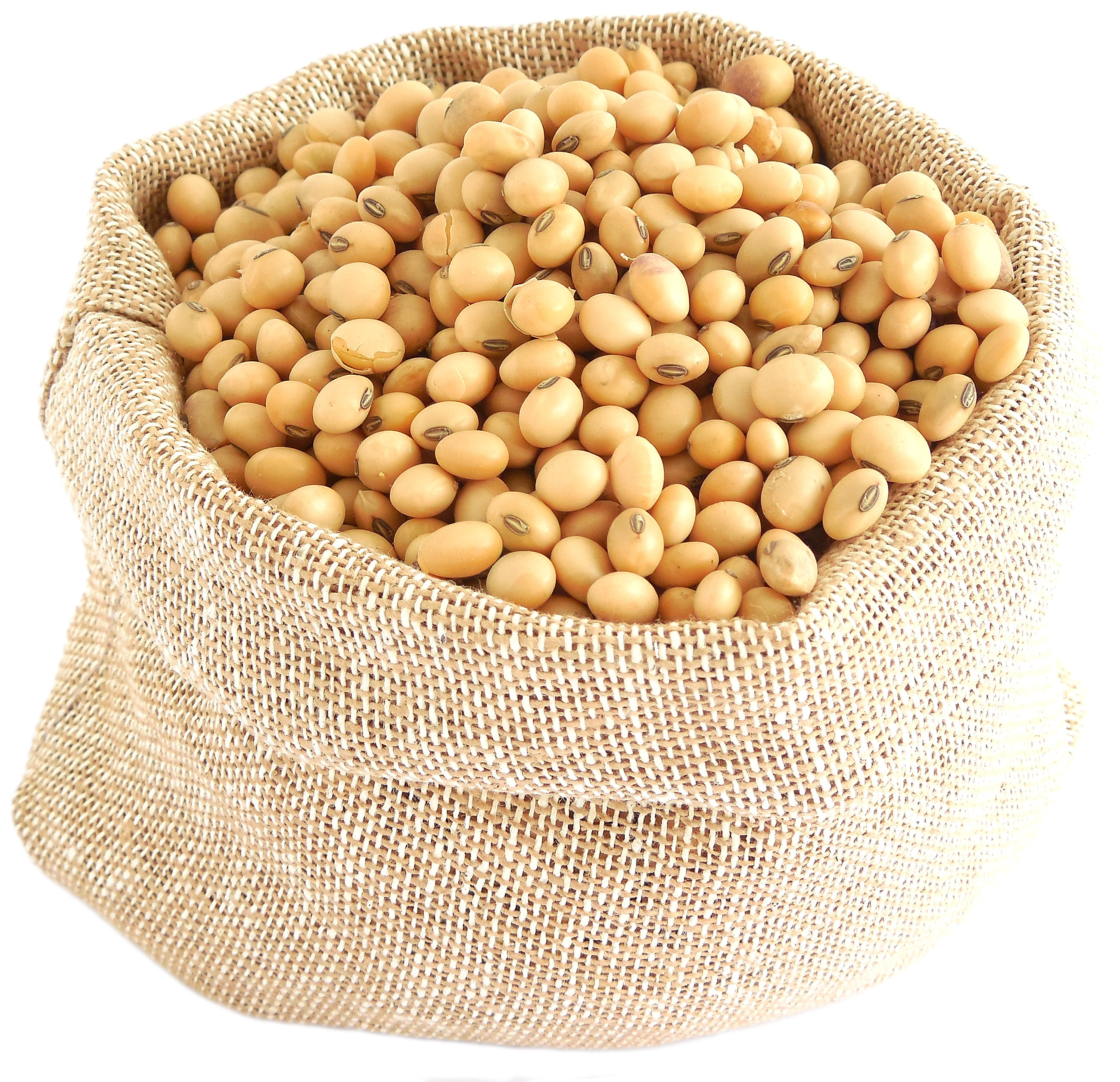 High Quality Premium Natural and Non- GMO Yellow Soybean Seeds / Soya Bean /Soy Beans