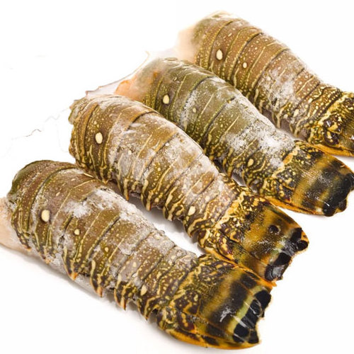 High Quality Frozen Shrimp /Frozen Natural Black Tiger Shrimp / Vannamei shrimps Seafood for sale.