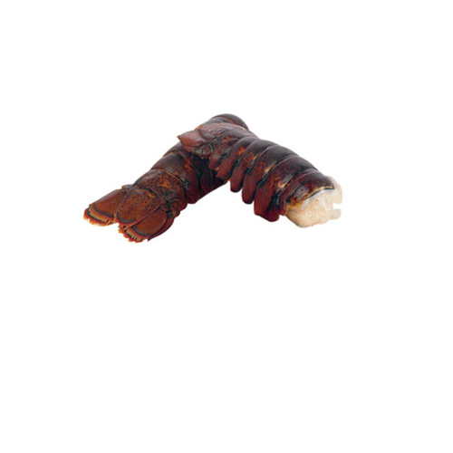 Frozen Lobster / Frozen Lobster Tails / Fresh Live Lobsters for sale