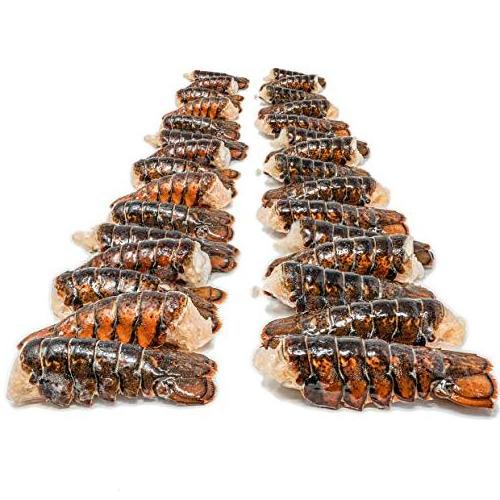 High Quality Frozen Shrimp /Frozen Natural Black Tiger Shrimp / Vannamei shrimps Seafood for sale.