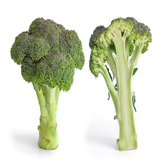 Professional Manufacture Nice Price IQF Fresh Vegetable Frozen Broccoli Florets