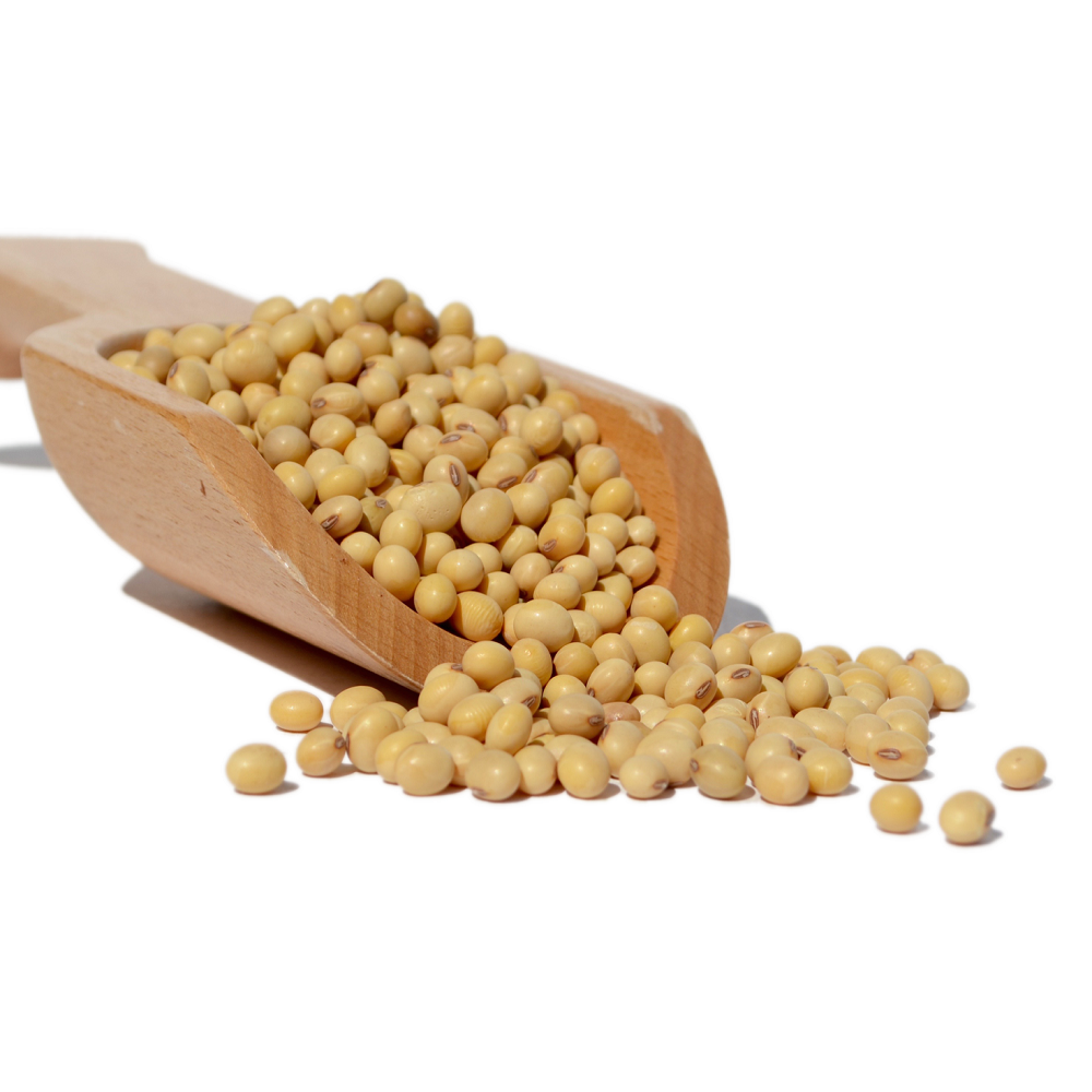 High Quality Premium Natural and Non- GMO Yellow Soybean Seeds / Soya Bean /Soy Beans