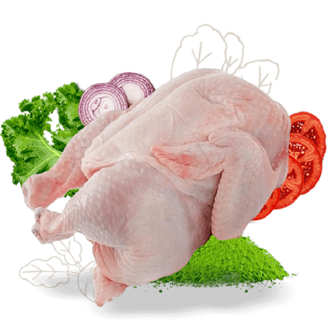 Top Best Whole chicken Legs And Breast Wholesale Prices Fresh Frozen Halal Frozen Chicken Feet/Paws for Sale