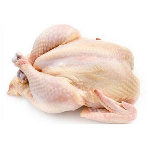 Halal Frozen whole chicken Clean whole frozen chicken for sale /chicken paw /chicken feet