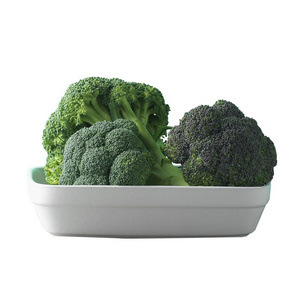 High Quality New Crop 2023 Fresh/Frozen Green Broccoli For Sales