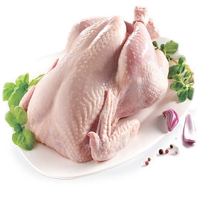 Top Best Whole chicken Legs And Breast Wholesale Prices Fresh Frozen Halal Frozen Chicken Feet/Paws for Sale