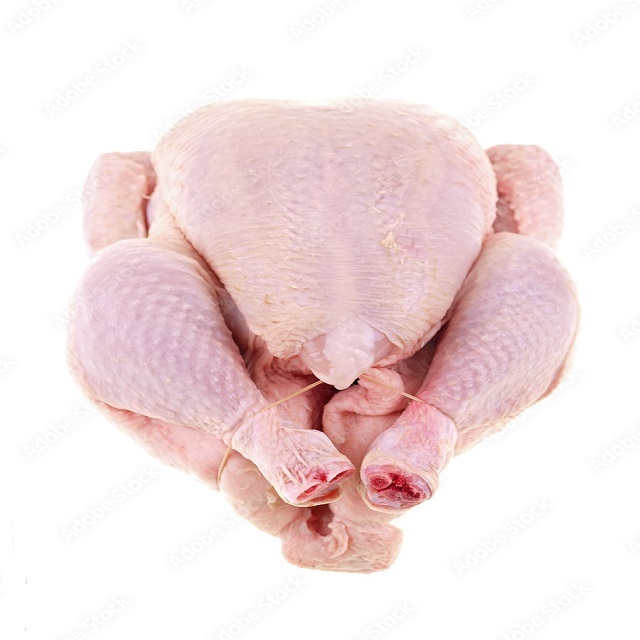 Top Best Whole chicken Legs And Breast Wholesale Prices Fresh Frozen Halal Frozen Chicken Feet/Paws for Sale