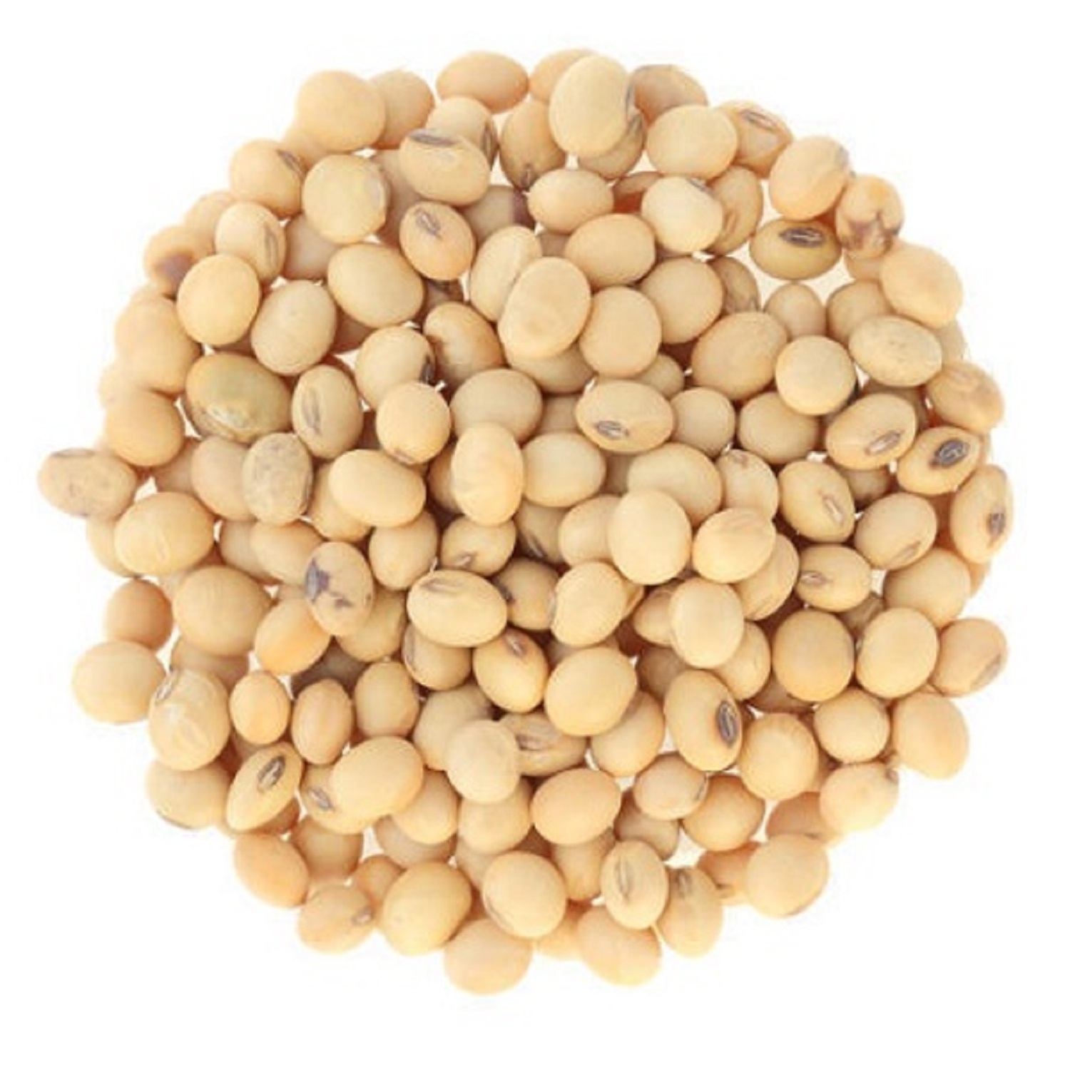 High Quality Premium Natural and Non- GMO Yellow Soybean Seeds / Soya Bean /Soy Beans