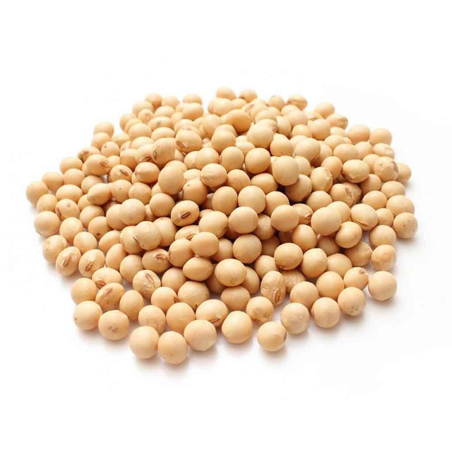 High Quality Premium Natural and Non- GMO Yellow Soybean Seeds / Soya Bean /Soy Beans