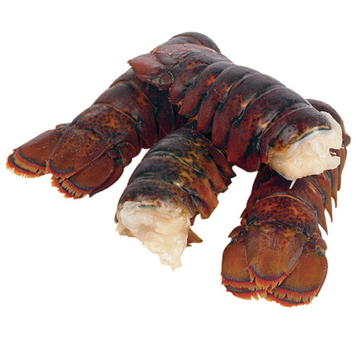 Live Lobster, Spiny Lobster, Frozen Lobsters for sale.