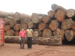 Energy Saving Industrial wood Logs of 6 ft length and durable ebony wood block for sale teak sawn timber teak lumber wood