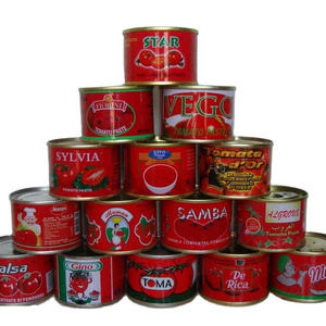 High quality Canned Tomato Paste Best price Hot selling tomato paste