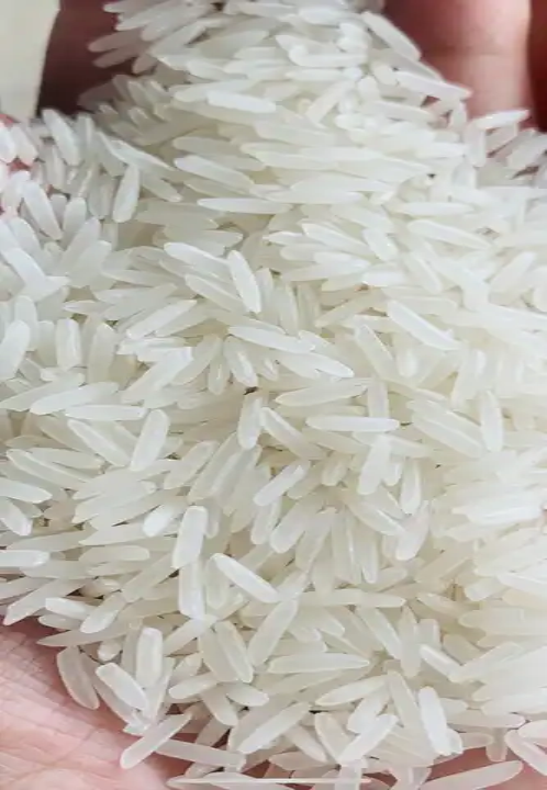 Top Exporter Royal Rice Jasmine White Riz Riso Rice Packing 1kg 5kg 18kg 28kg 50kg 2023