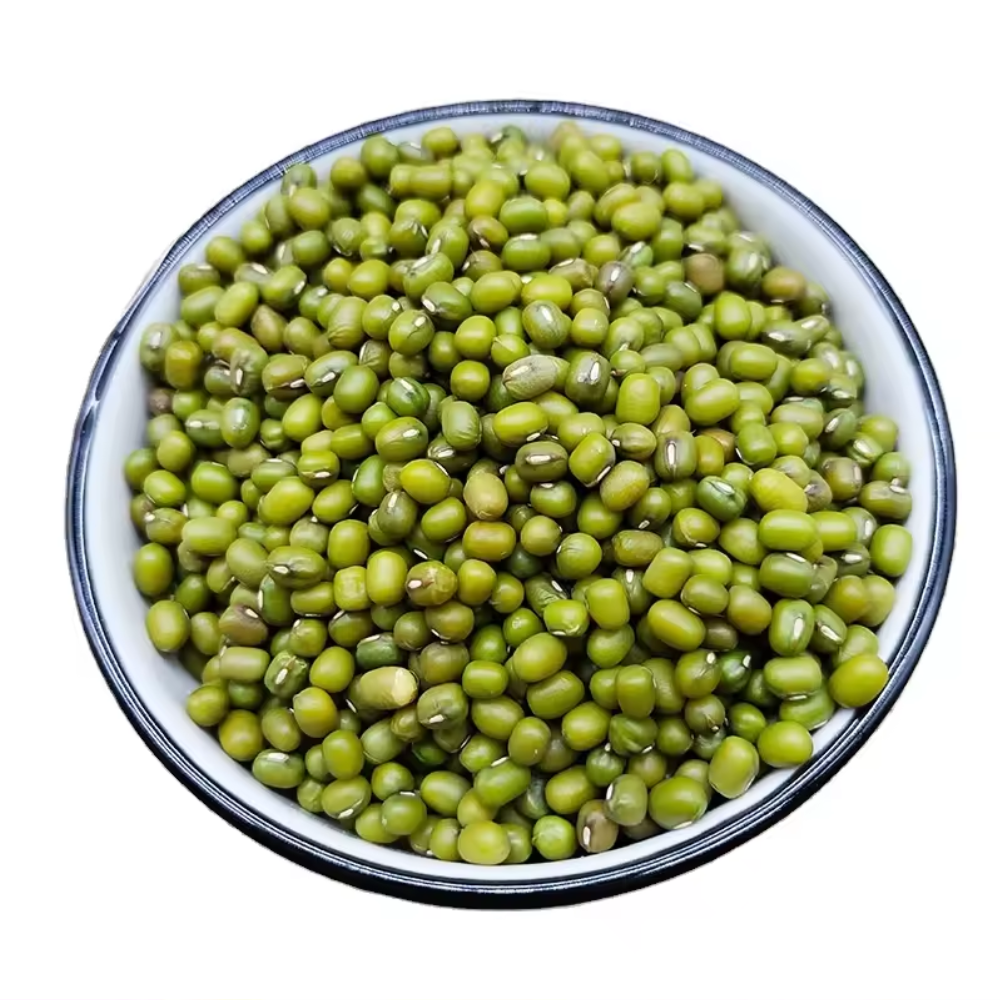 High Grade Non-GMO Nutritional Product Natural Bulk Dried Mung Beans from  Thailand Vigna Mung beans for Food