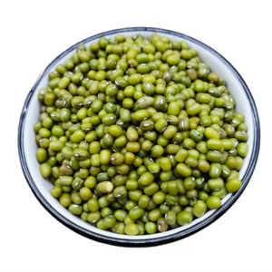 High Grade Non-GMO Nutritional Product Natural Bulk Dried Mung Beans from  Thailand Vigna Mung beans for Food