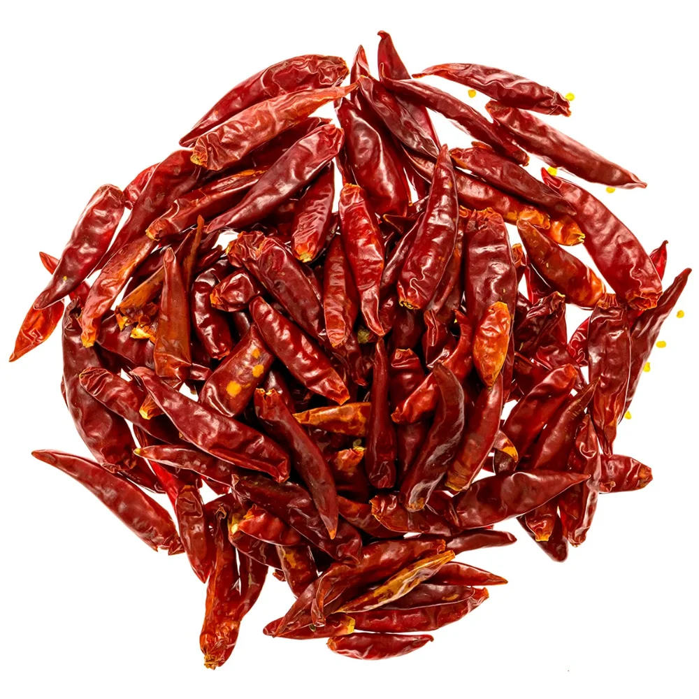 Wholesale dried hot spicy chili good price from Thailand/Dried spicy red chili cheapest price 2024/Thai dried red chillies