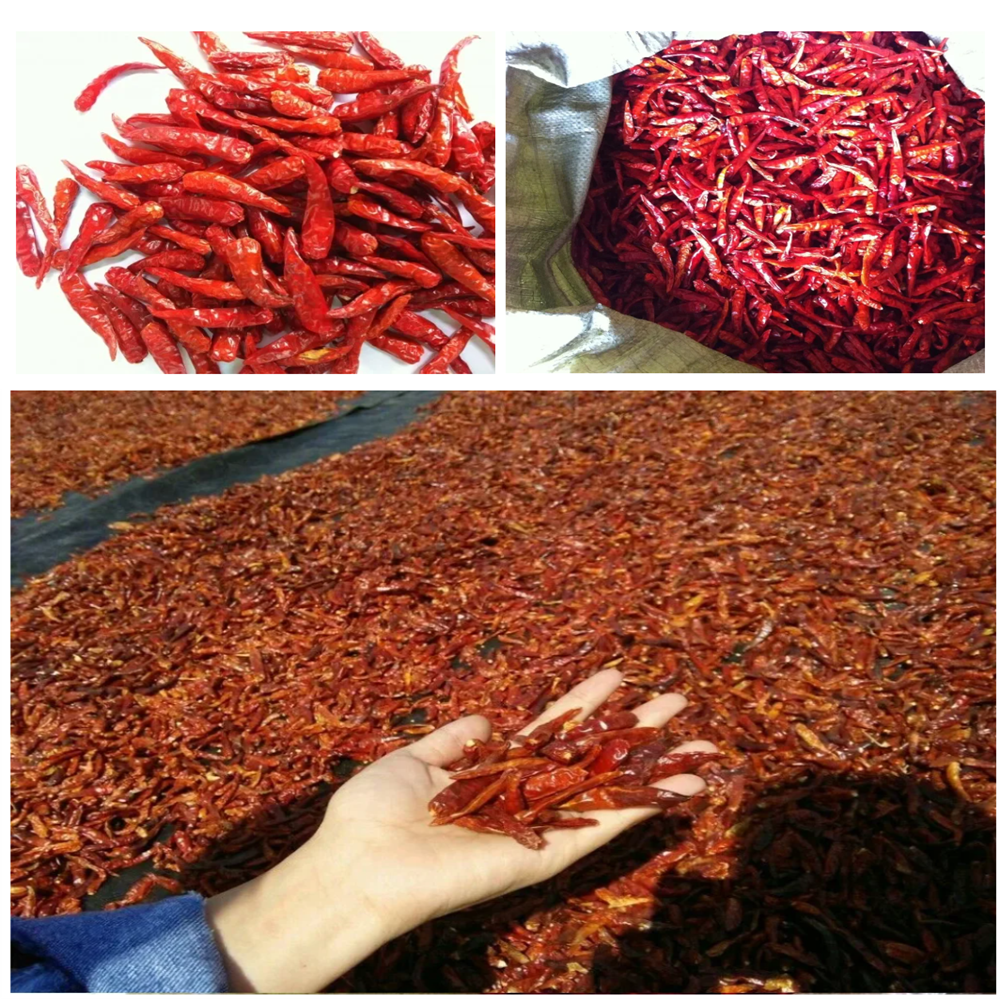 Factory Price Dried Red Chili Pepper Flakes Wholesale 5-20 mesh Sweet Paprika Pepper Sliced