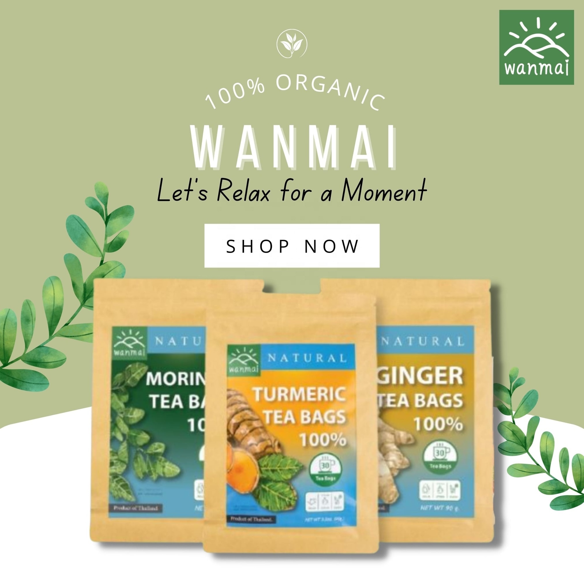 WANMAI29 Mulberry Leaf Tea Supports Vegan and Ketogenic Diets 100% Real Herb in Kraft Steeping Bag