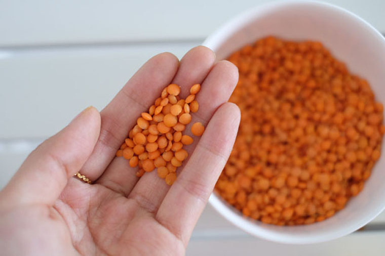 whole red lentils good material export of thailand red split lentils promotion price