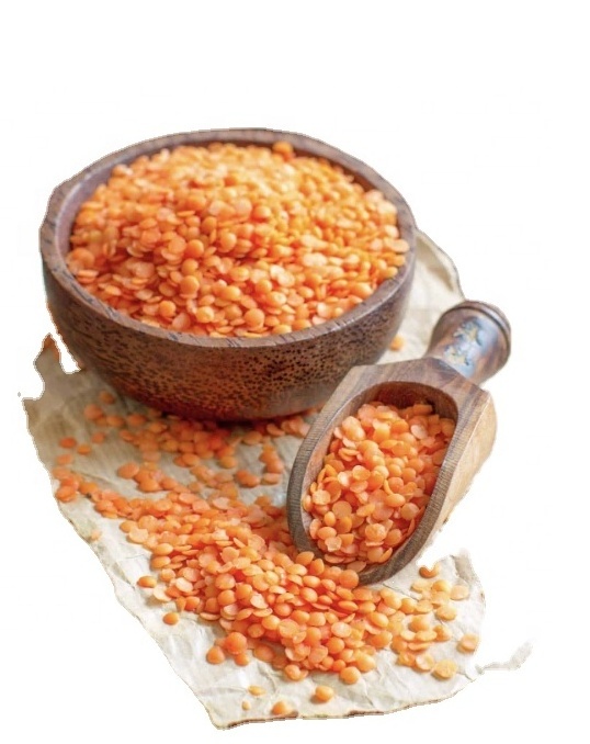 Organic Whole red lentils Bulk Style Packaging red lentils good material export of Thailand Canadian Red lentils