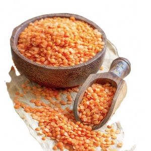 Organic Whole red lentils Bulk Style Packaging red lentils good material export of Thailand Canadian Red lentils