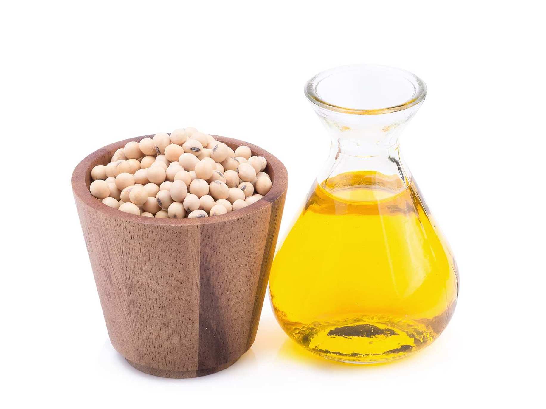 Excellent Quality Soyabean / Soybeans Seeds / Soy bean Bulk Customized Package Organic Dried High Protein soya beans