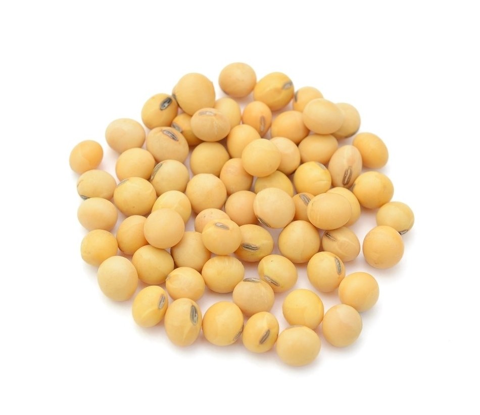 Excellent Quality Soyabean / Soybeans Seeds / Soy bean Bulk Customized Package Organic Dried High Protein soya beans