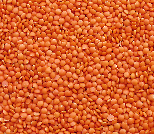 Organic Whole red lentils Bulk Style Packaging red lentils good material export of Thailand Canadian Red lentils