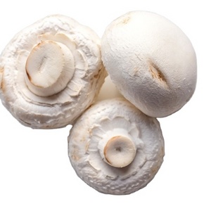 Button mushrooms Whole Button Canned Mushroom White OEM Acid Style Storage Cool Brands Color Package Weight Material Raw