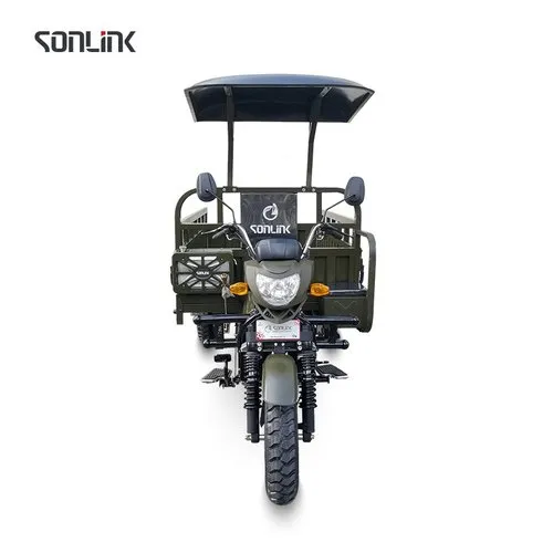 200CC Motor Tricycle Three Wheeler Electric Adult Tricycle Fatbike from China Ebike Max Motorcycle Custom Magnet Body Steel