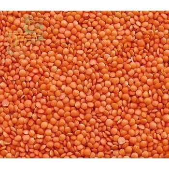 whole red lentils good material export of thailand red split lentils promotion price