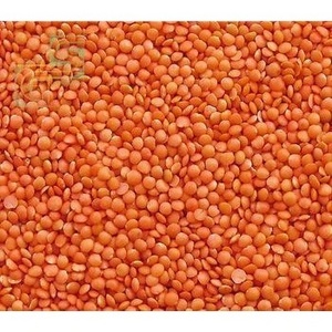 whole red lentils good material export of thailand red split lentils promotion price