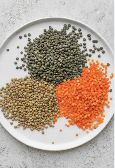 Organic Whole red lentils Bulk Style Packaging red lentils good material export of Thailand Canadian Red lentils