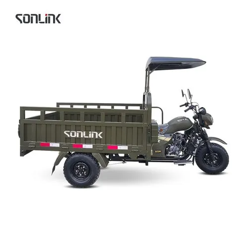 200CC Motor Tricycle Three Wheeler Electric Adult Tricycle Fatbike from China Ebike Max Motorcycle Custom Magnet Body Steel