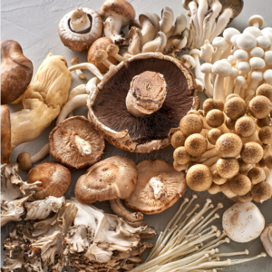 Top Quality Delicious Gourmet mushrooms OEM KOSHER Style Mushrooms Color Stem Weight Shelf Origin Type Certificate Life