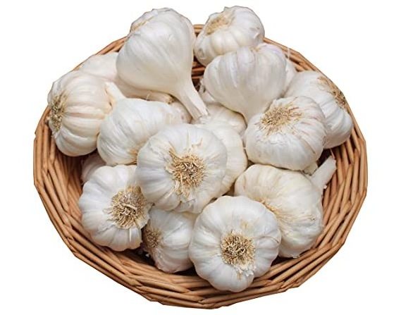 Thailand Low Price Fresh Garlic White Bag Crop Style Time June Food Newest Color Package Weight Normal Net Origin Type Shandong